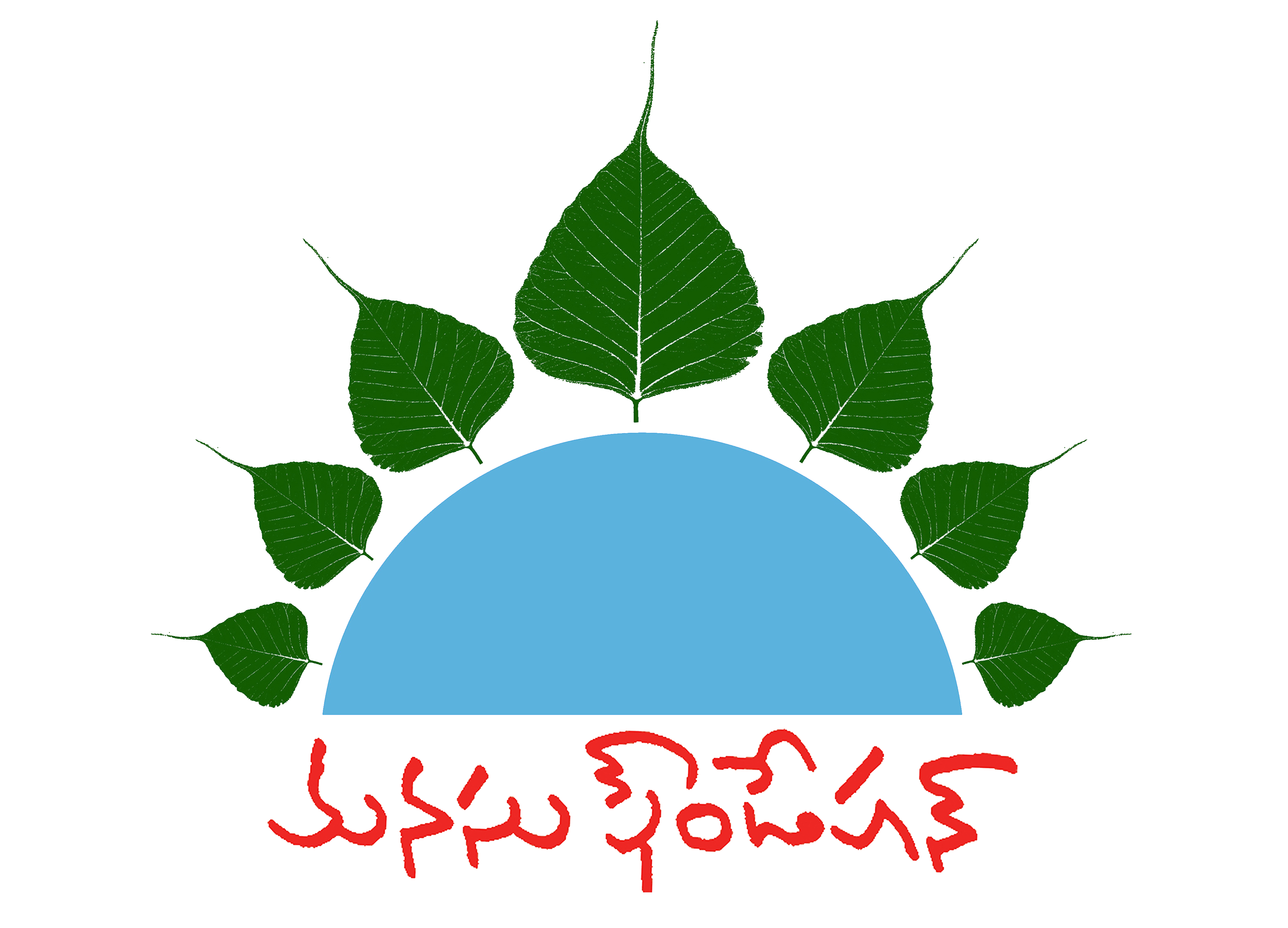 MaNaSu Foundation